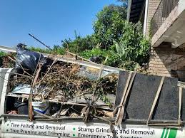 Best Scrap Metal Removal in Elbow Lake, MN