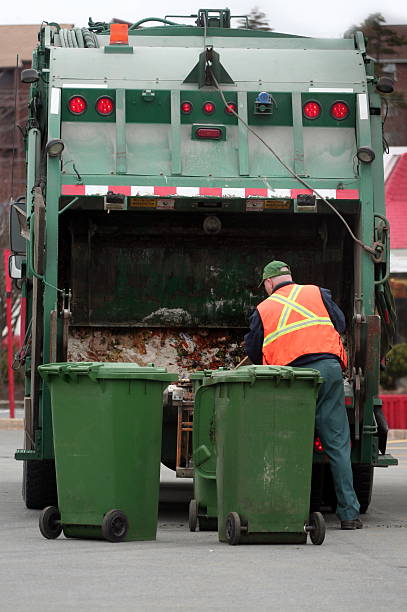 Best Yard Waste Removal in Elbow Lake, MN